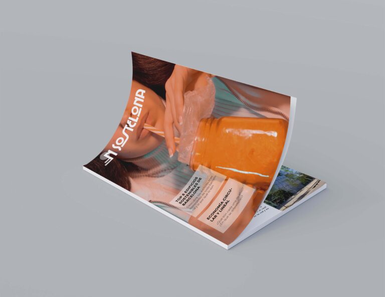 Revista Sostelona